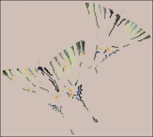 Papillon
