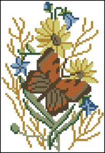 Butterfly Fantasy