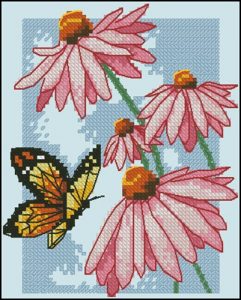 Butterfly & Blossoms