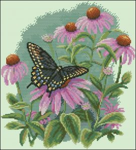 Butterfly & Daisies Butterfly & Daisies