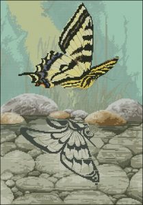 Butterfly reflection