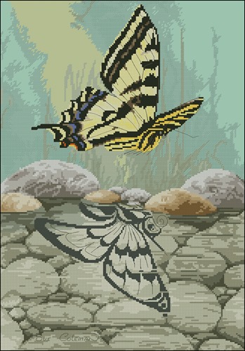 Butterfly reflection