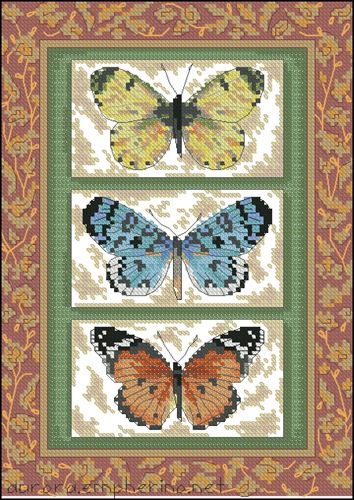 Butterfly Triplex