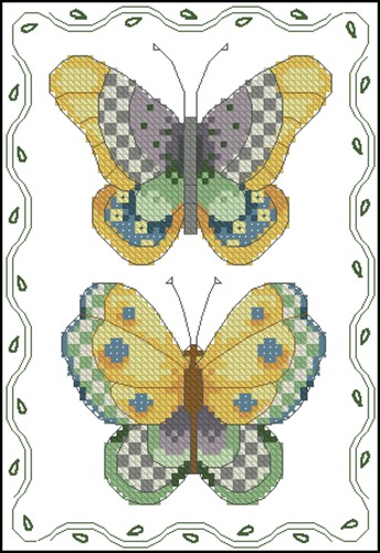 Butterfly Pair