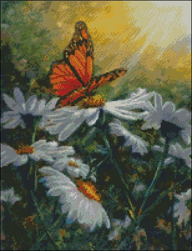 Butterfly Daisies