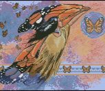 On Batterfly Wings On Batterfly Wings