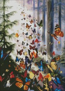 Butterfly Wood