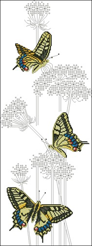 Swallowtail Butterflies
