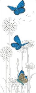 Adonis Blue Butterflies