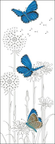 Adonis Blue Butterflies