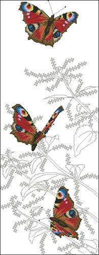 Peacock Butterflies