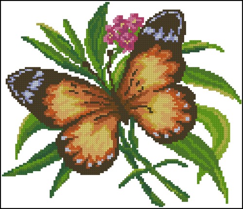 CHM2006-12 Butterfly