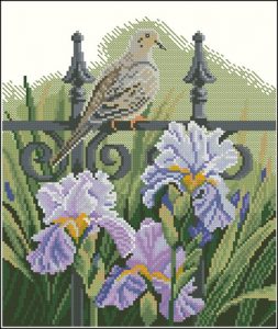 Backyard beauties - Dove Backyard beauties - Dove