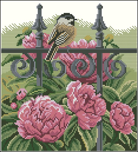 Backyard beauties - Chikadee