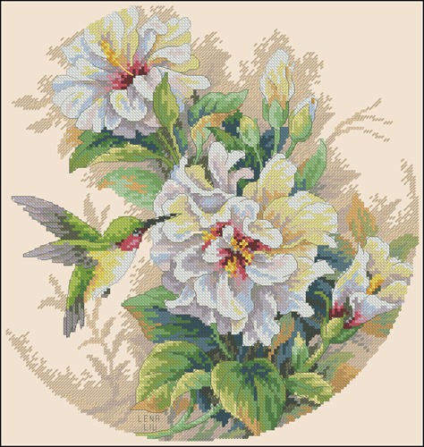 Hibiscus Duo & Colibri