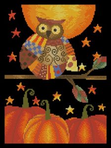 Bewitching Owl