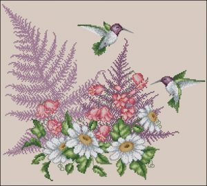 Hummingbird afgan