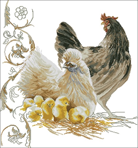 Hen and Chicks