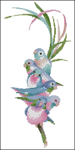 Rainbow Birds