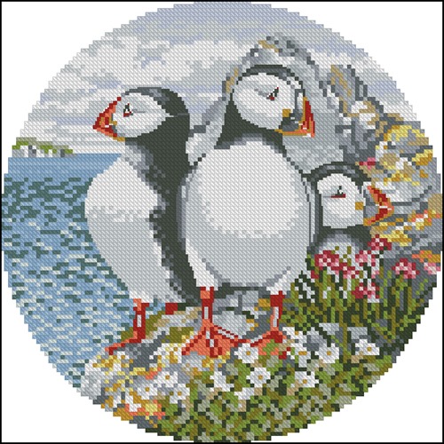 Puffin Patrol