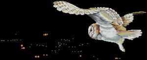 Night Flight Owl Night Flight Owl