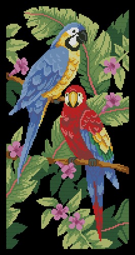 Tropical Birds