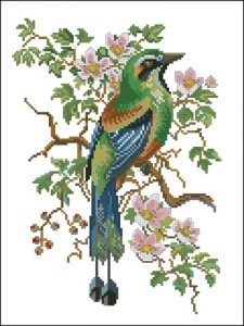 Райская птица Райская птица