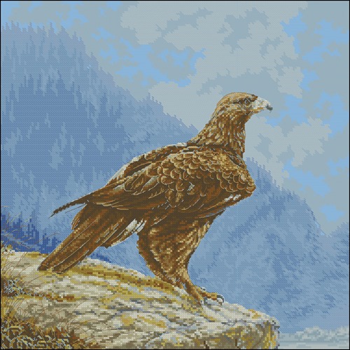 The Eye Of The Eagle
