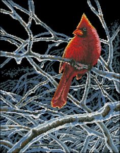 Ice Cardinal Ice Cardinal