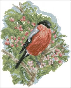 Bullfinch