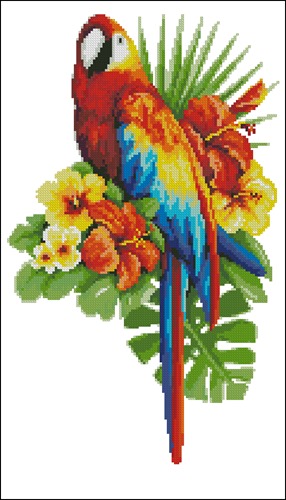 Fairy tale parrot