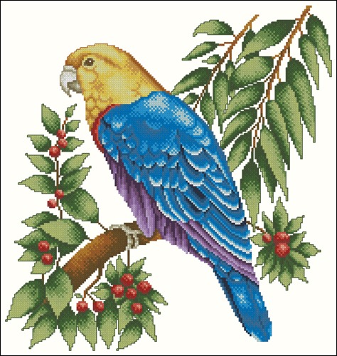 Loro Azul