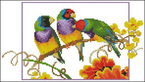 Parrots