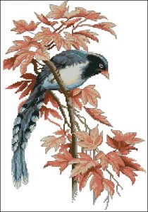 Bird on a branch