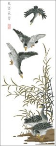 Wild Goose