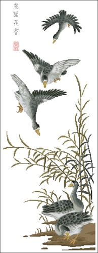 Wild Goose
