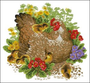 Chicken mother and chick Chicken mother and chick