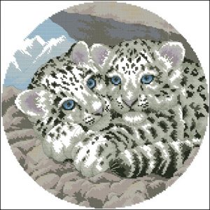 Snow Leopards cubs Snow Leopards cubs