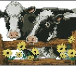 Cow Chums Cow Chums