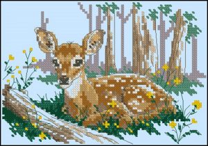 Sweet Fawn Sweet Fawn