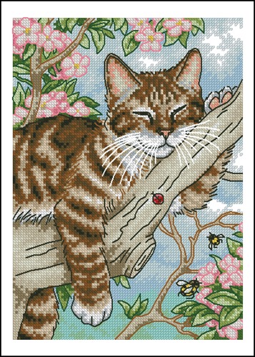 Tabby Cat Napping on Branch