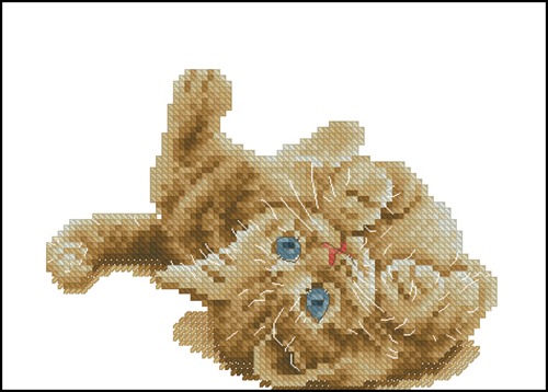 Маленький кошак
