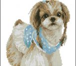 Sweet lady dog Lady dog