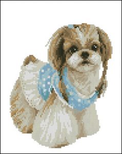 Sweet lady dog Lady dog