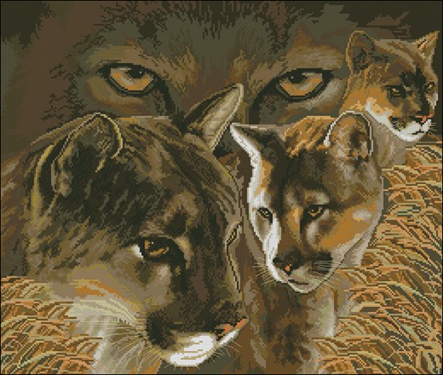 Cougar Family Portrait
