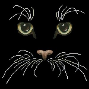 Cat eyes Cat eyes
