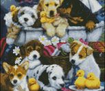 Bath-time Puppies Bath-time Puppies