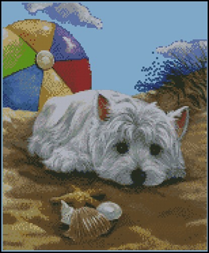 Westie Puppy on the Beach