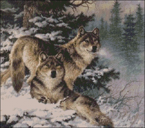 Two Wolves in Snowy Forest