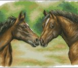 Horses Duo Horses Duo